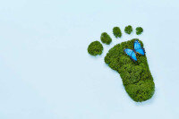 Ökológiai lábnyom: mit jelent pontosan, és hogyan csökkenthető?